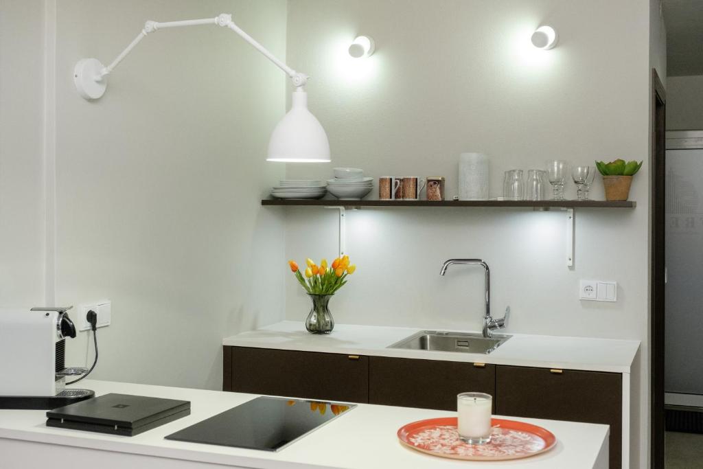 Kuchyň nebo kuchyňský kout v ubytování Freyja Guesthouse & Suites