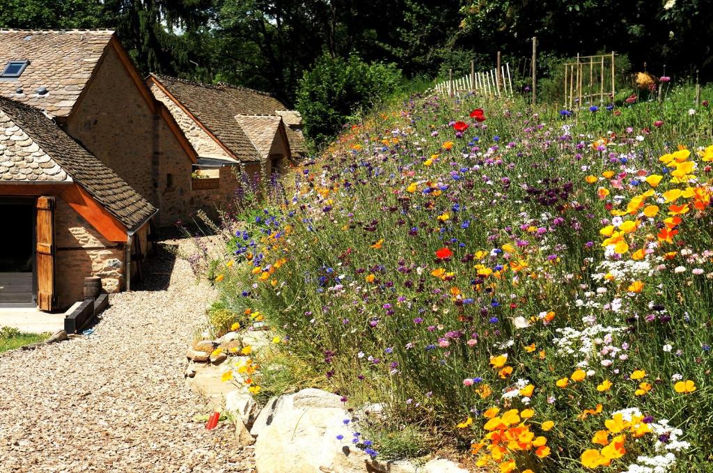a garden with flowers on the side of a hill at Domaine des Marequiers chambre Alchemille in Saint-Germain-du-Teil