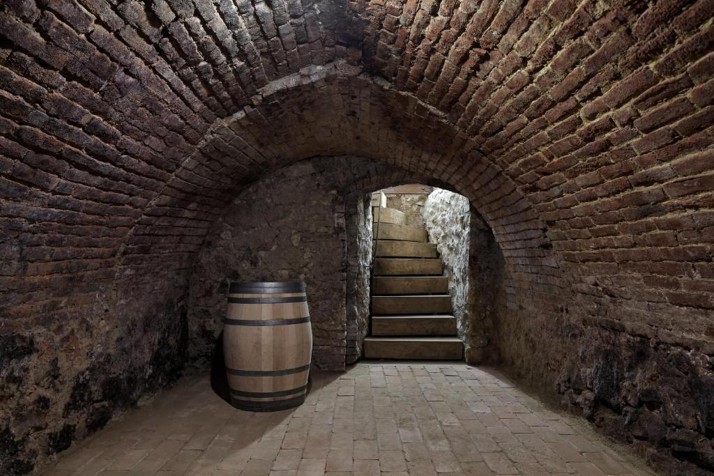 a tunnel with a barrel next to a staircase at Stajnhaus in Mikulov