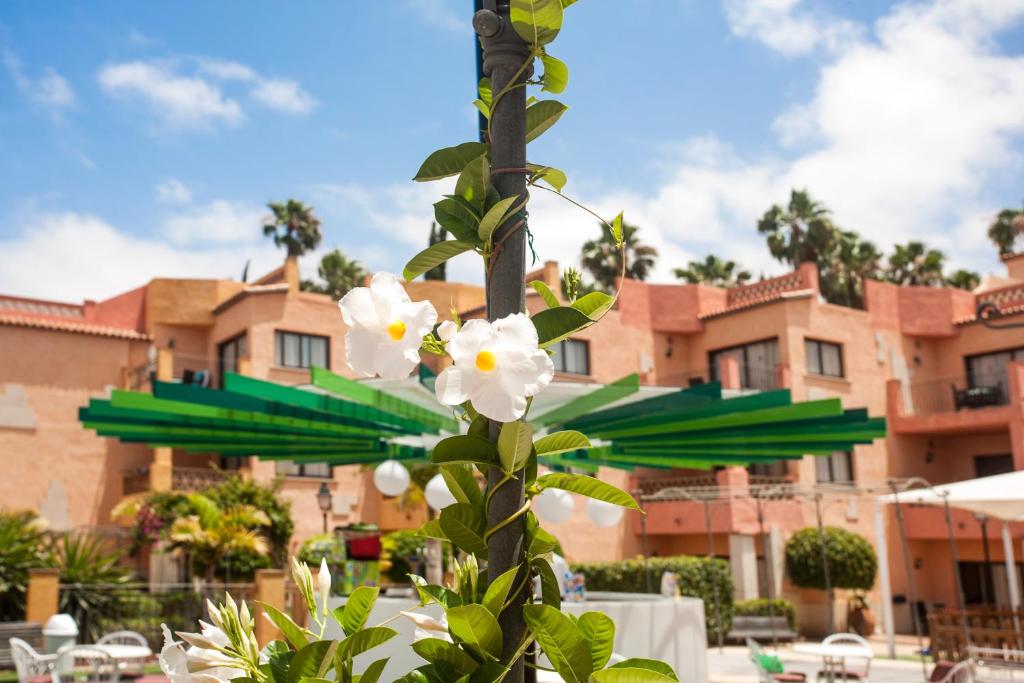 Villa Mandi Golf Resort - One-Bedroom Apartment