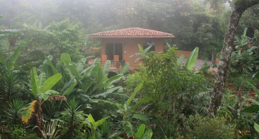 Aed väljaspool majutusasutust The Casita at The Boquete Hacienda