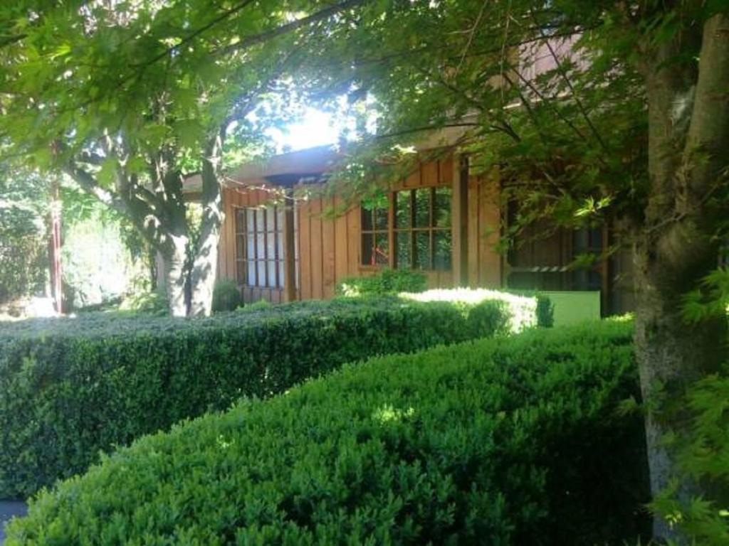 Zahrada ubytování Hostal Kutralwe