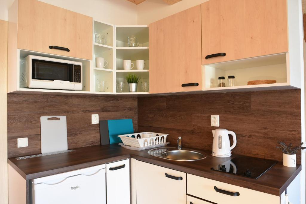 Kuchyň nebo kuchyňský kout v ubytování Apartmány Vízmberk