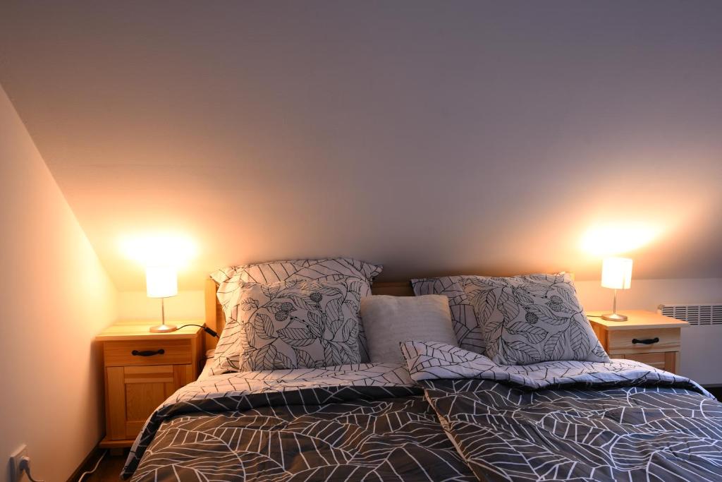 Postel nebo postele na pokoji v ubytování Apartmány Vízmberk