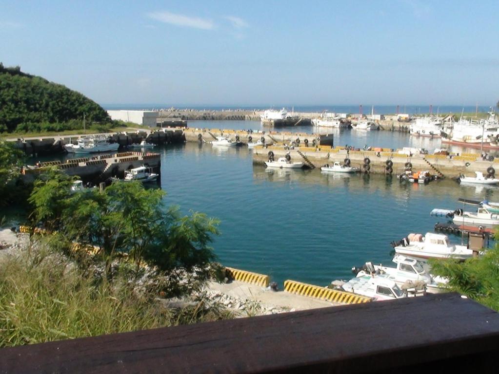 a marina with boats parked in the water at Dreamily Fish B&B in Magong