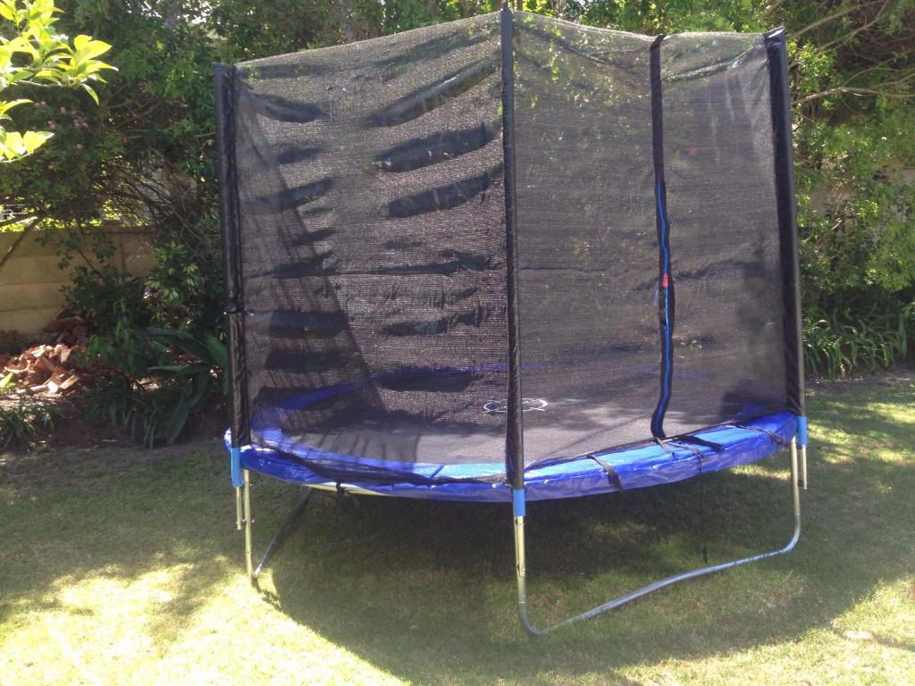 Lemon Tree House - Image 10