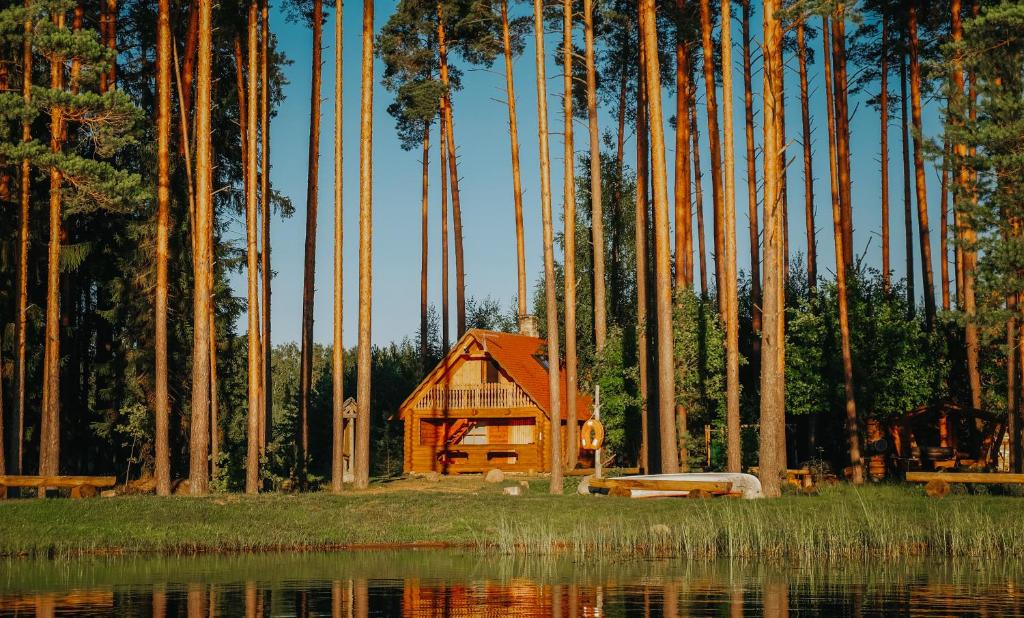 eine Hütte im Wald neben einem Wasserkörper in der Unterkunft Haudamäe Puhkemaja in Meelva