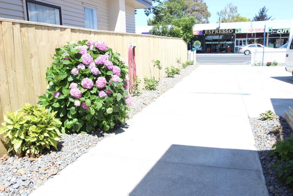 EMotel Napier - Resim 29