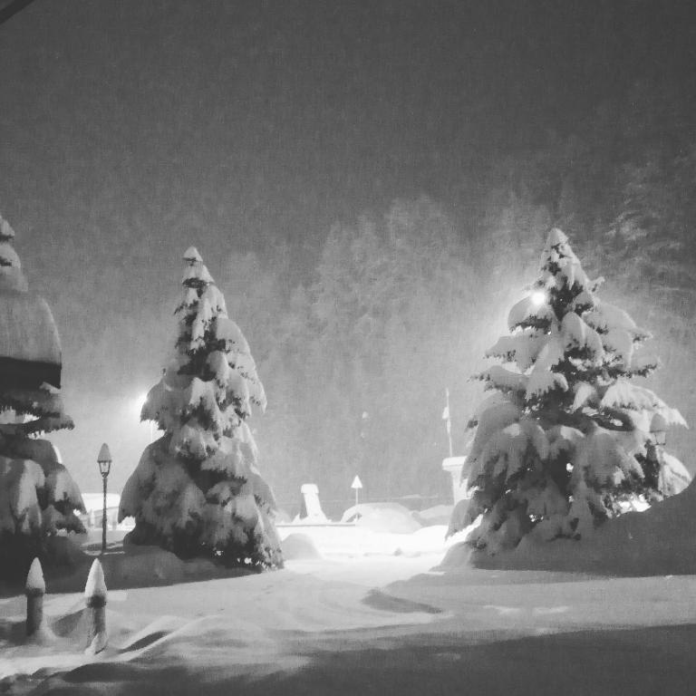 a black and white photo of two trees covered in snow at Hotel Banchetta in Sestriere