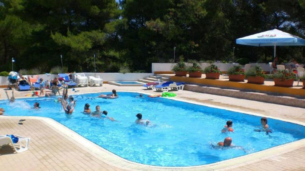 een groep mensen die zwemmen in een zwembad bij Hotel Pula in Pula