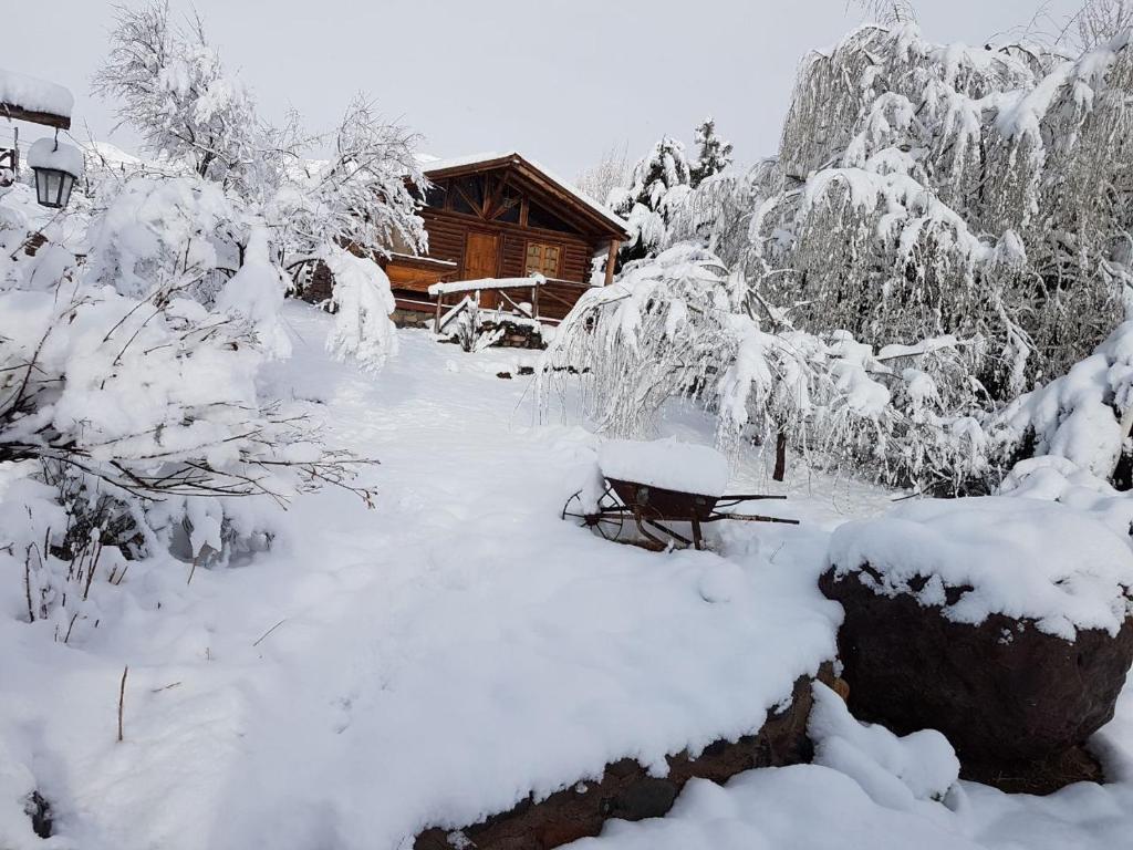 um quintal coberto de neve ao lado de uma cabana em Posta Nehuen Cabañas em Potrerillos