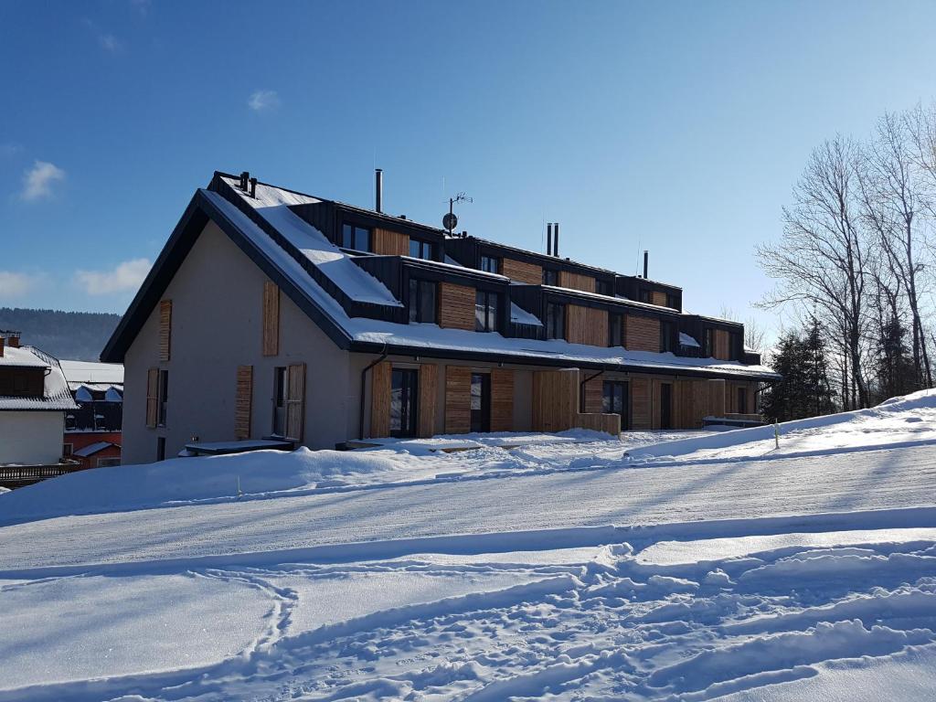 Apartmán NA SVAHU 3+KK, Dolní Morava v zimě