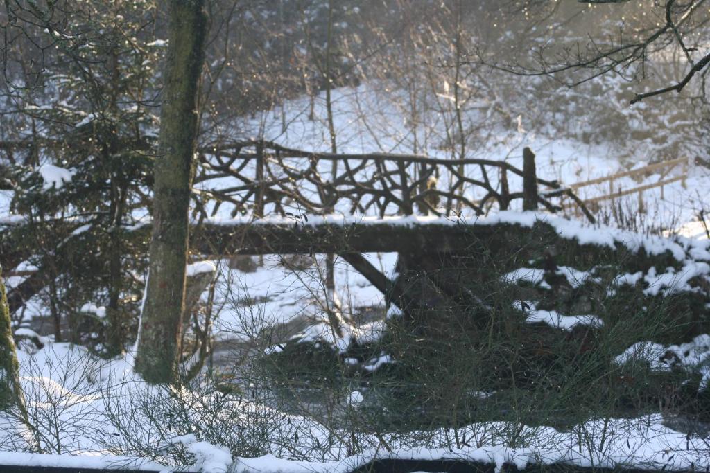 Les Chanterelles v zimě