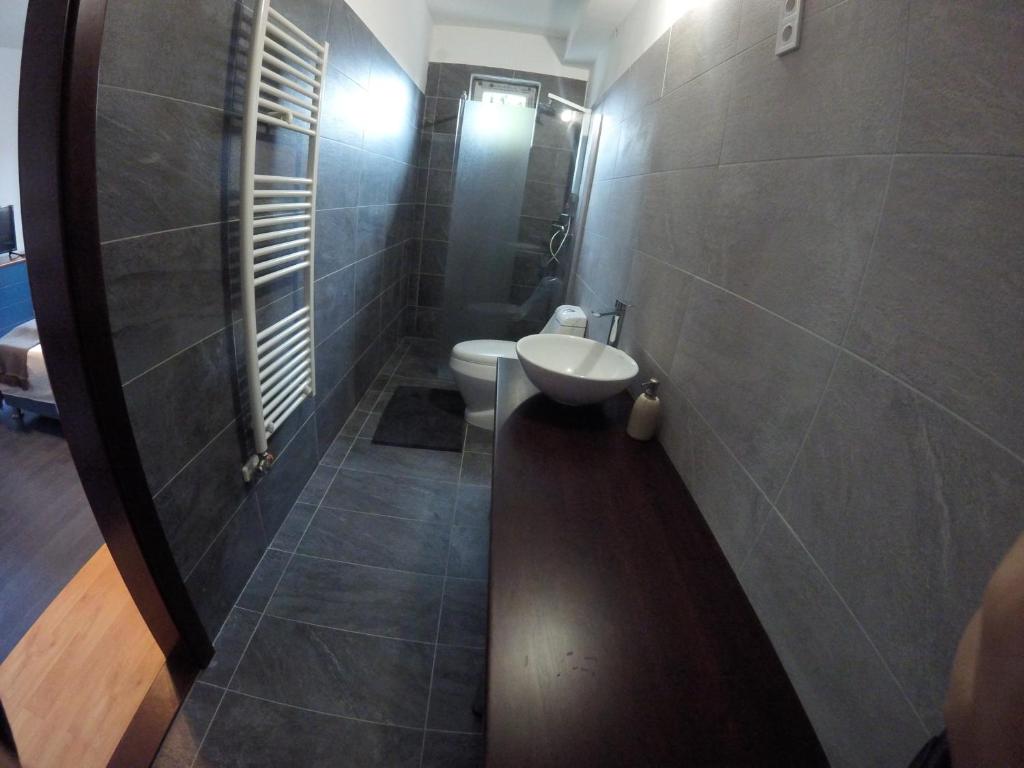 a bathroom with a toilet and a sink and a mirror at Dózsaház in Zalaegerszeg