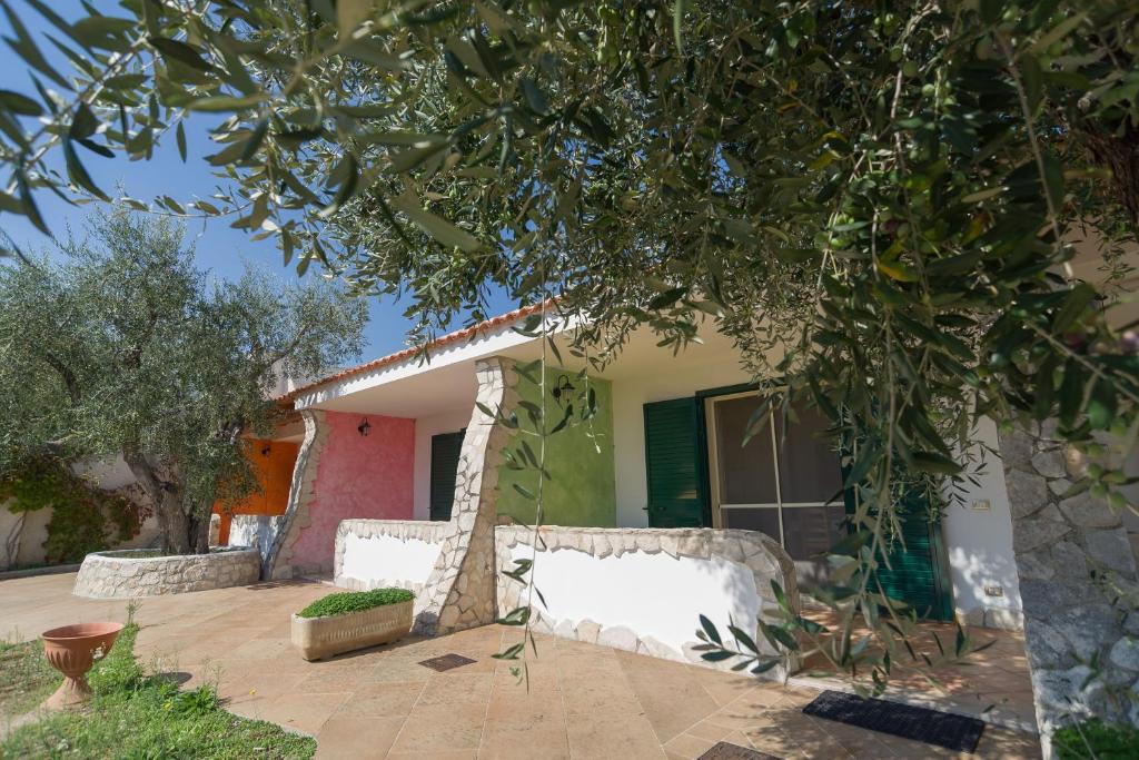 una casa con un árbol delante de ella en Borghetto Tio Pepe en Mattinata