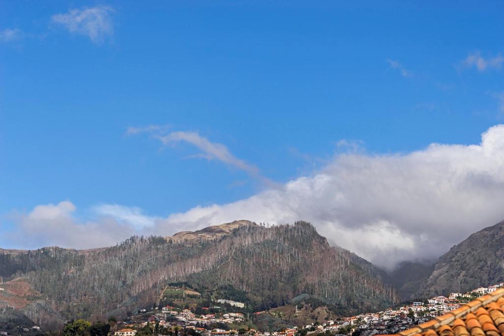 Downtown Funchal Apartments by An Island Apart - Estudio