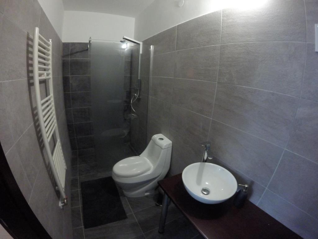 a bathroom with a toilet and a sink and a shower at Dózsaház in Zalaegerszeg