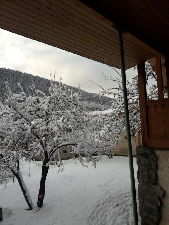 Irina's Guesthouse v zimě