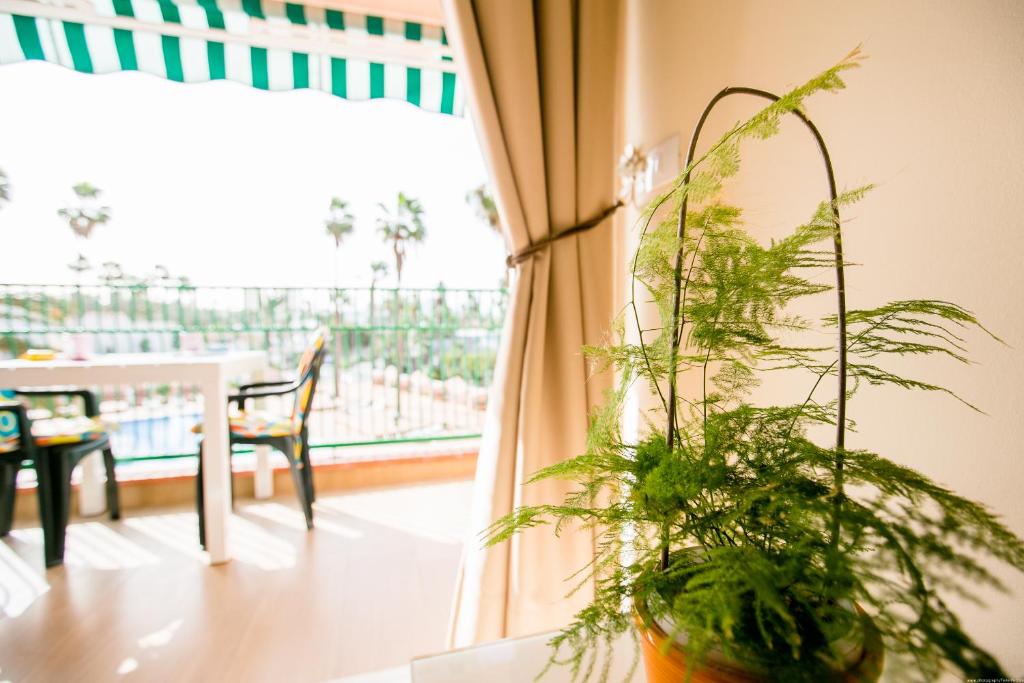 Fotografie z fotogalerie ubytování Apartment Acapulco Ocean Sunrise v destinaci Playa Fañabe