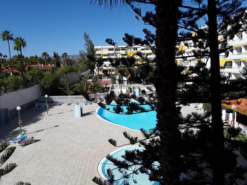 - Vistas a la piscina del complejo en Avenida Tirajana Nº3, en Playa del Inglés