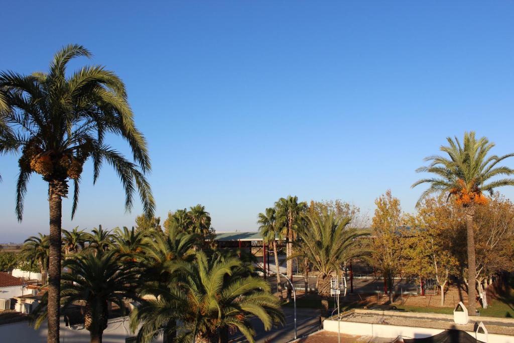 Fotografie z fotogalerie ubytování Lo Segador v destinaci El Poblenou del Delta
