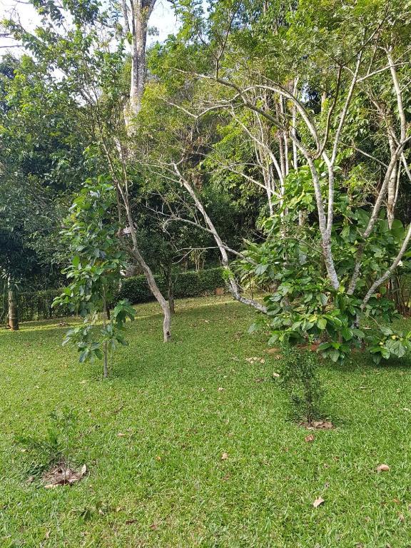 Sítio na Serra (1km de Pacoti e 7km de Guaramiranga)  Sítio na Serra (1km de Pacoti e 7km de Guaramiranga)