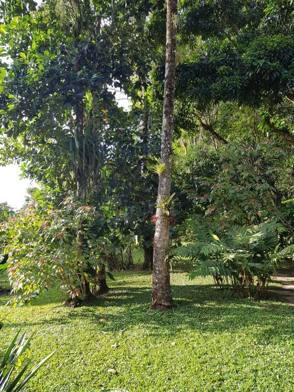 Sítio na Serra (1km de Pacoti e 7km de Guaramiranga)  Sítio na Serra (1km de Pacoti e 7km de Guaramiranga)