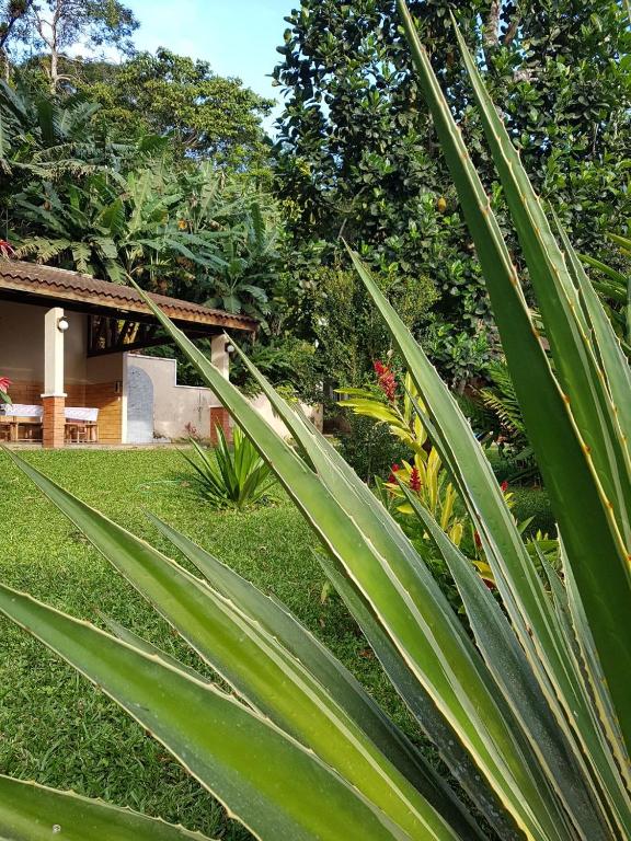 Sítio na Serra (1km de Pacoti e 7km de Guaramiranga)  Sítio na Serra (1km de Pacoti e 7km de Guaramiranga)