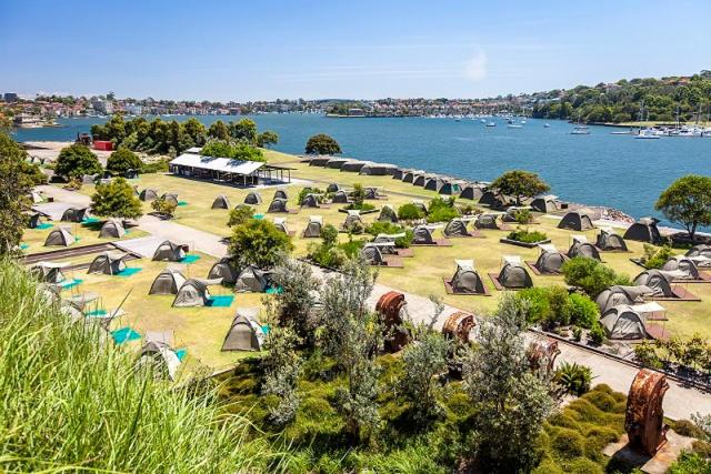 a grassy area with several boats and trees at Cockatoo Island Accommodation in Sydney
