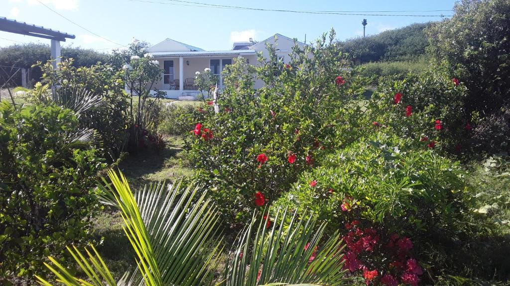 Rodrigues Island的住宿－赫伯蒙夫蘇梅旅館，一座花园,在一座建筑前种有鲜花和植物