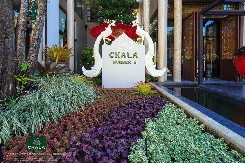 Chala Number6 - Resim 7