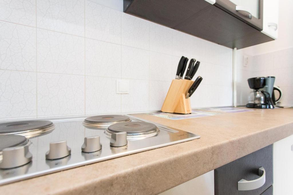Kuchyňa alebo kuchynka v ubytovaní Apartment Juranic