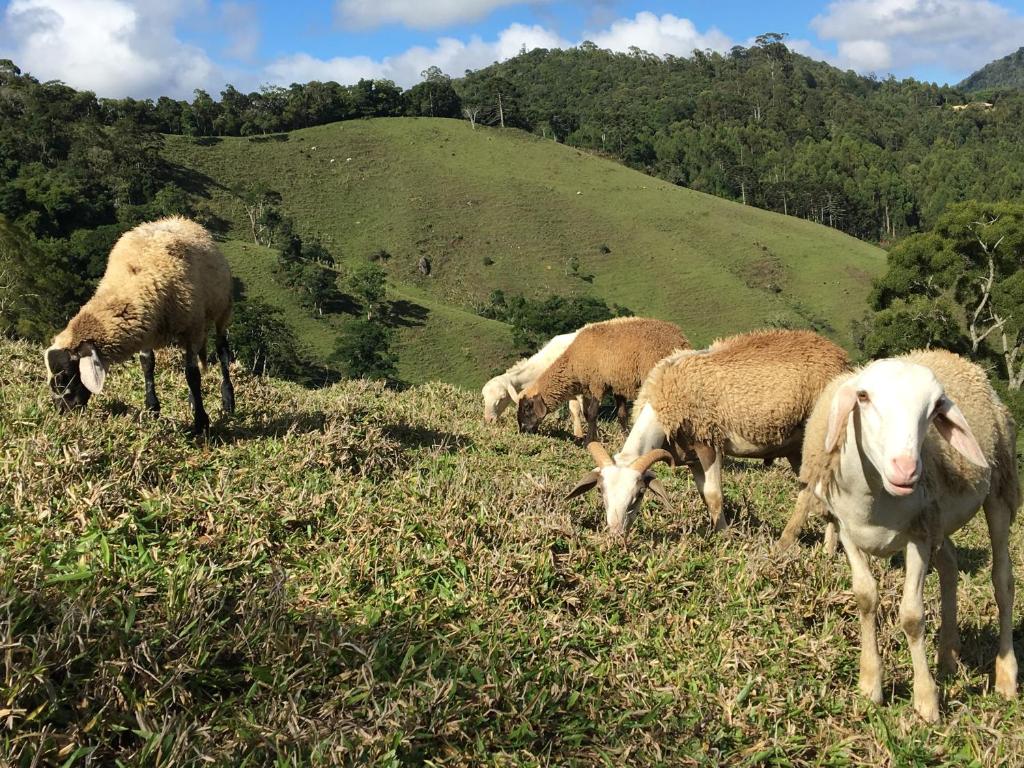  Paraíso na Montanha