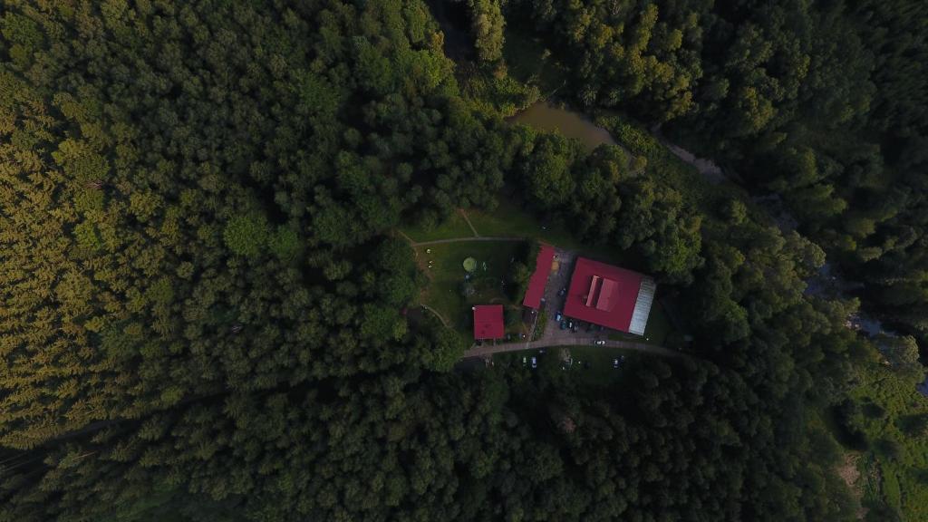 Příroda nedaleko kempu