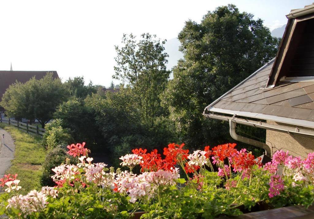Zahrada ubytování Gasthof-Pension Reidnwirt