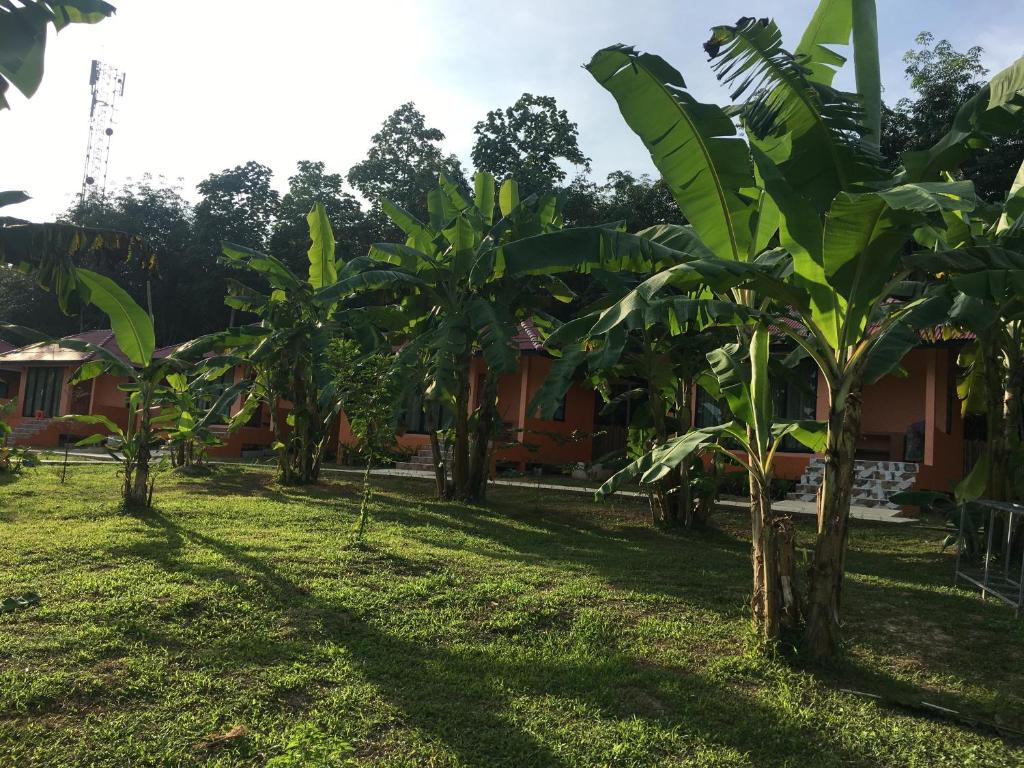 Baansuan Amaleena - 8