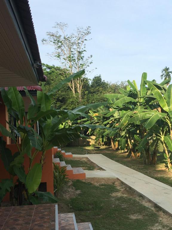 Baansuan Amaleena - 10