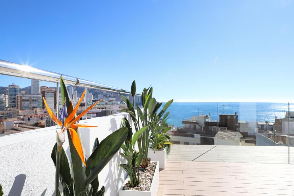 Hotel Alameda - Resim 11