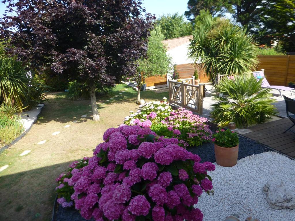 サン・ジル・クロワ・ド・ヴィにあるGÎTE DES FRUCHESの紫花束