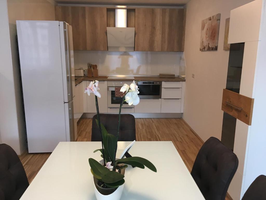 Kuchnia lub aneks kuchenny w obiekcie New Stylish Apartment
