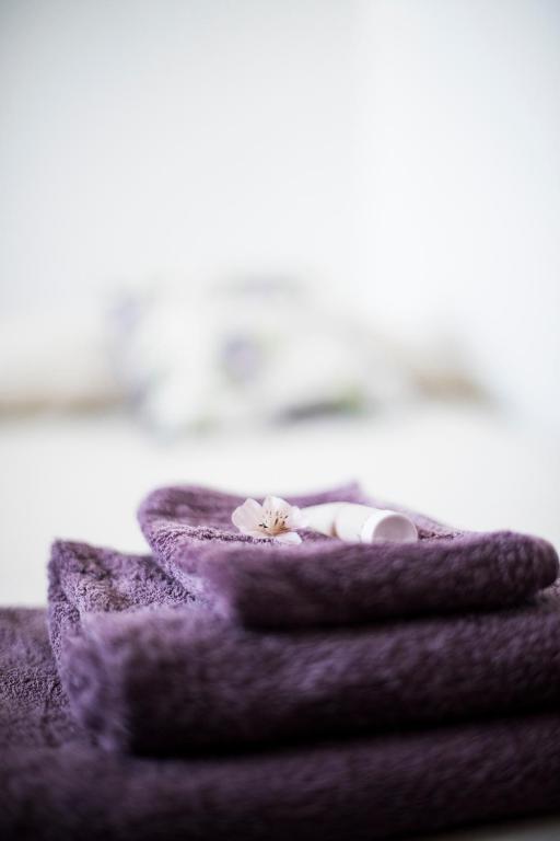 Amor di Lavanda - Deluxe Double Or Twin Room With Garden View