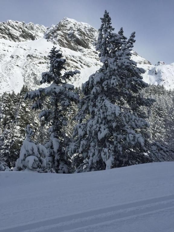 Fotografie z fotogalerie ubytování BPIRINEOS-Los Tilos v destinaci Benasque