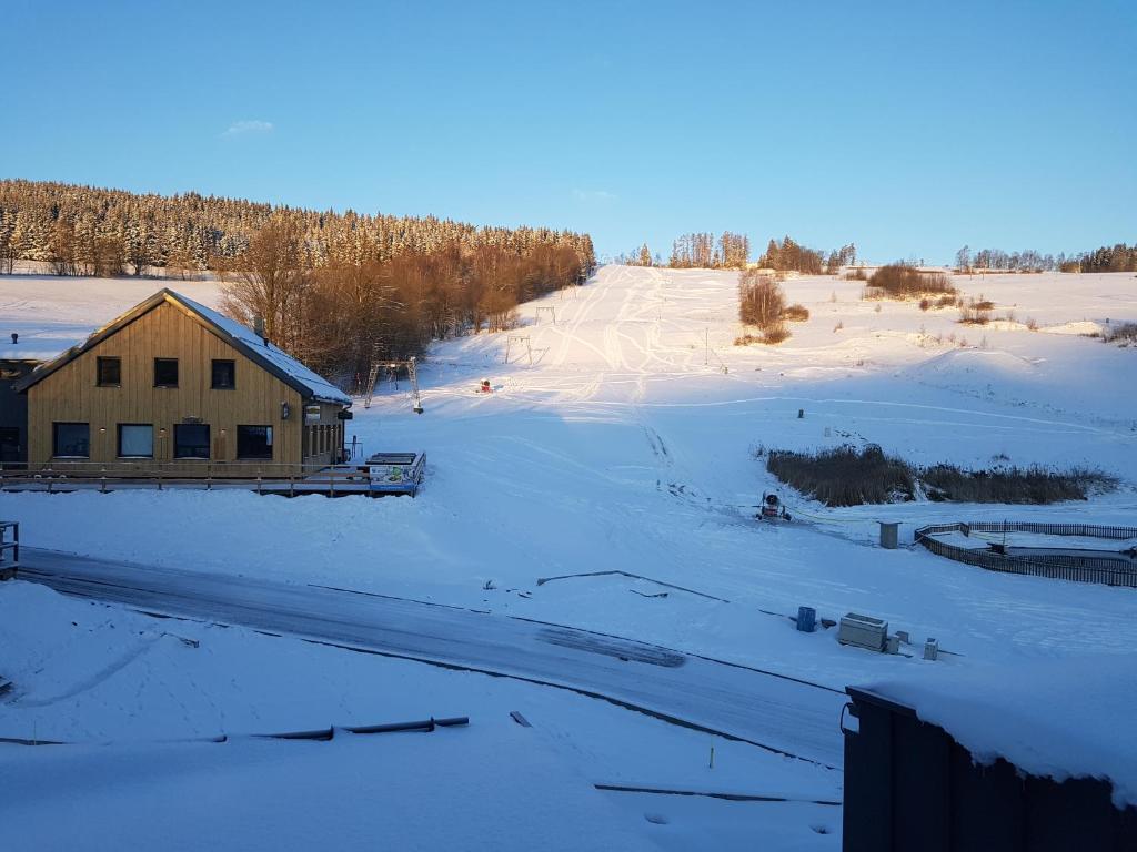 Apartmán NA SVAHU 3+KK, Dolní Morava v zimě