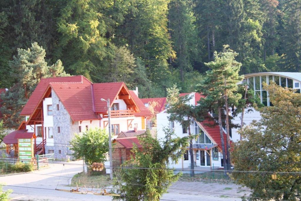 Природа в окрестностях комплекса для отдыха