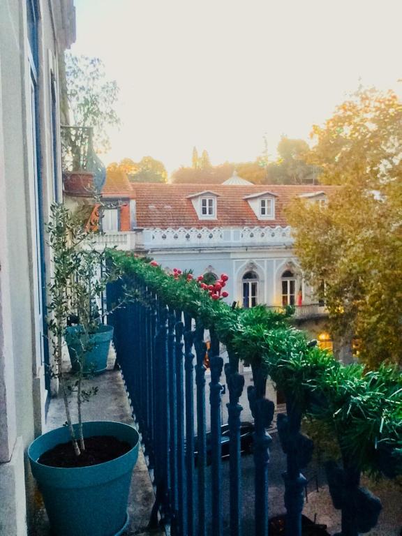 Central Lisbon Classic Apartment