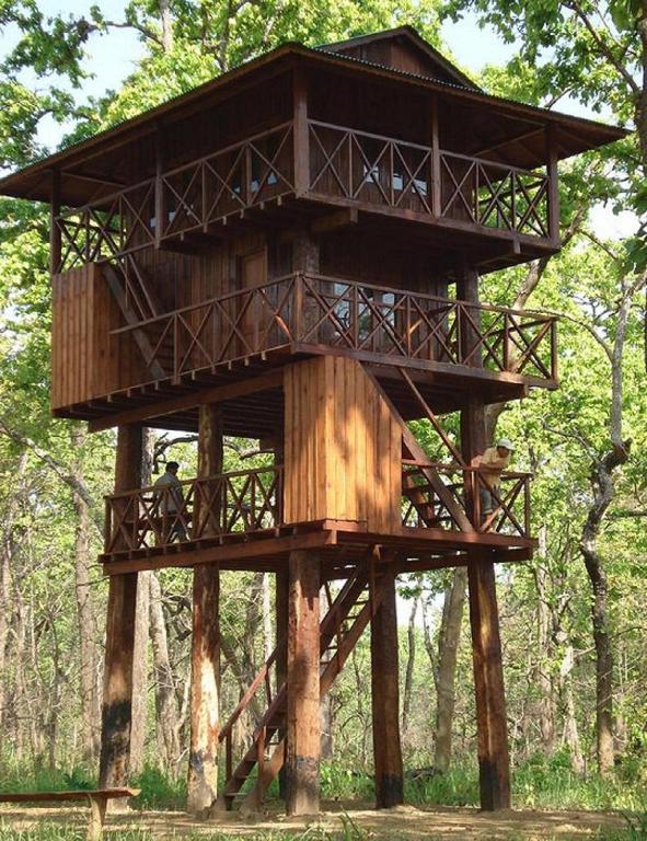 Foto dalla galleria di Hotel Rainforest a Sauraha