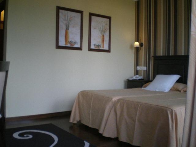 La Casona de Lazúrtegui - 17