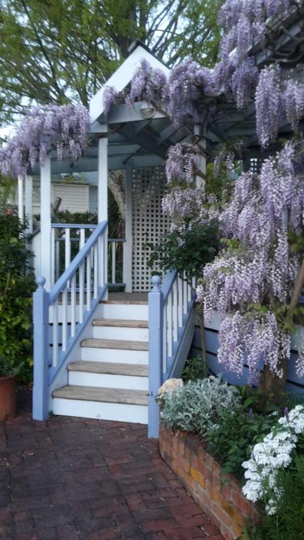 a wreath of purple wisterias hanging over a white fence at Rose Cottage B&B in Richmond