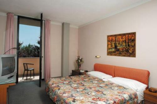 Habitación de hotel con cama y TV en Hotel Giannina en Forlimpopoli