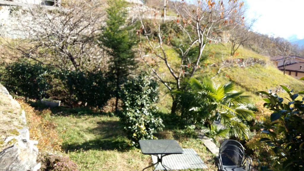 Zahrada ubytování Casa delle Camelie